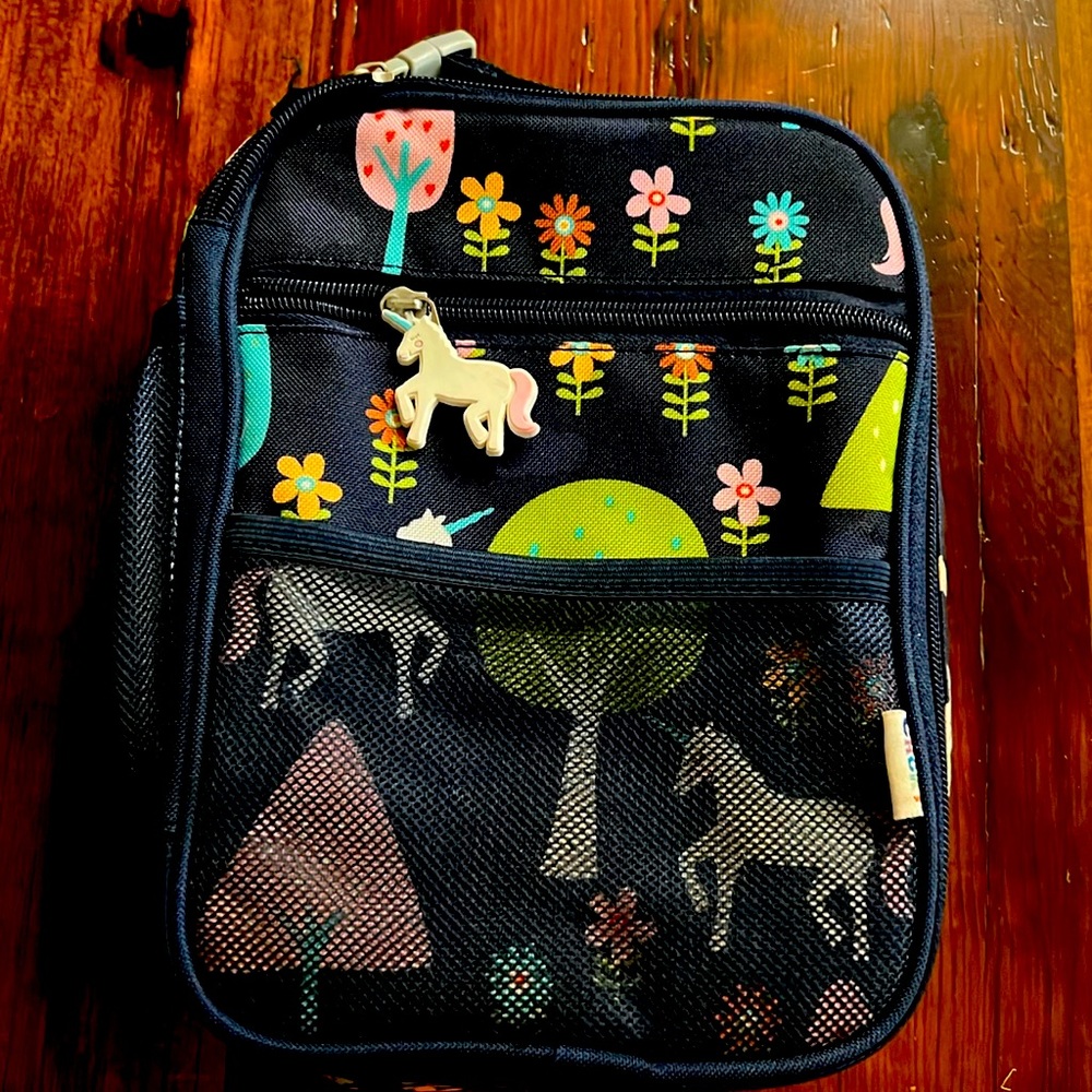 Insulated lunch box